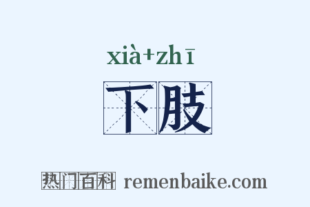 下肢是什么意思的图片
